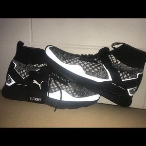 Puma X Staple Ignite Evo Knit